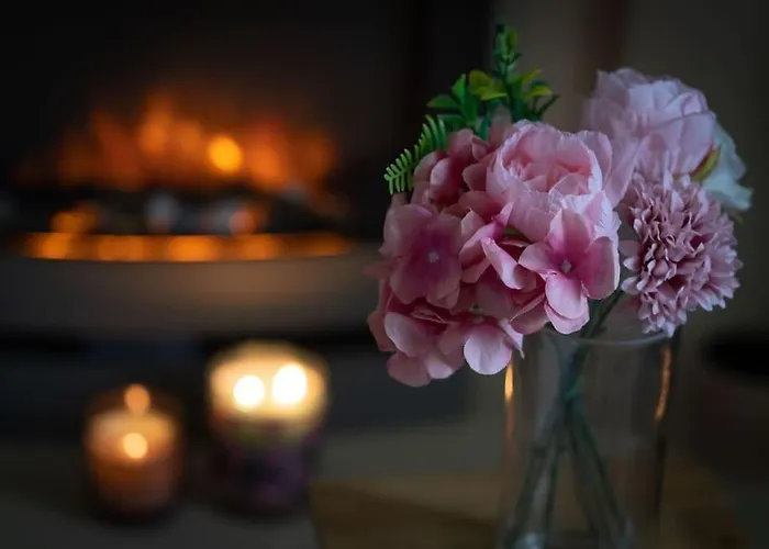 Shells House 度假居 *